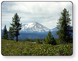 Mount Shasta is a popular area attraction when camping at our great Hat Creek campground